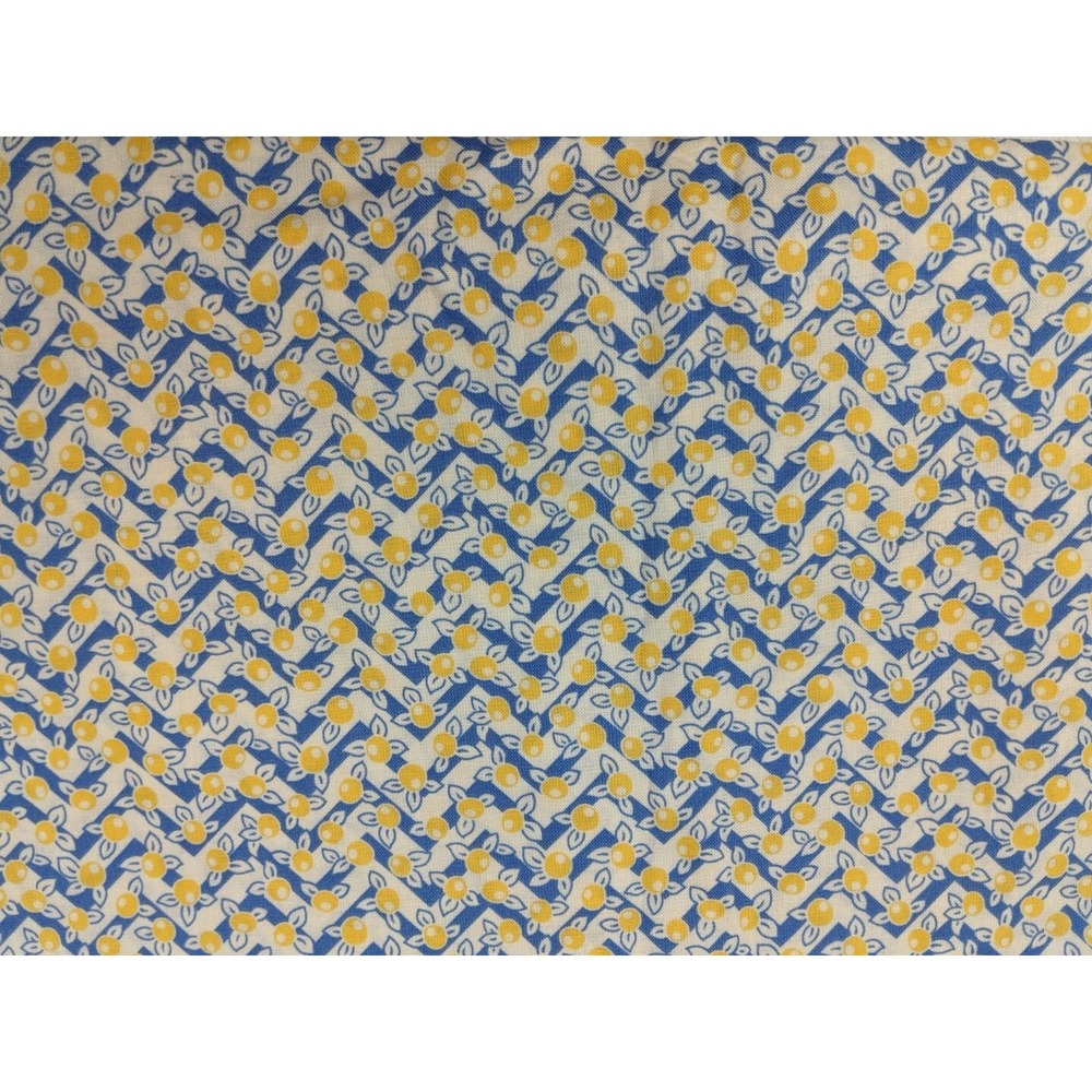 Moda 30s Playtime Cotton Fabric Berries Yellow Blue  2yds